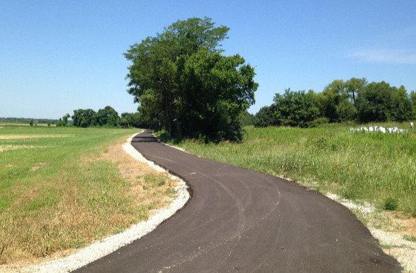 Agricenter Sunflower Trail