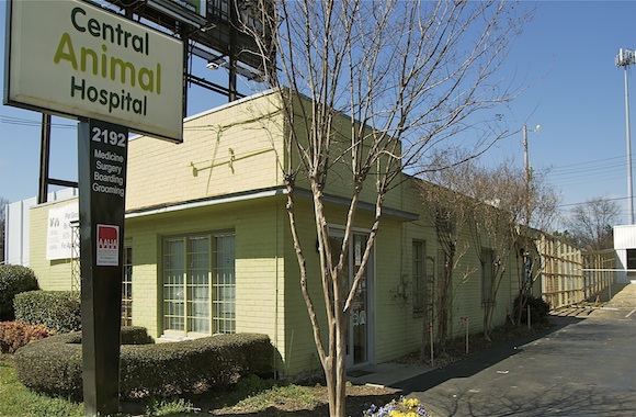 Central Animal Hospital sits, stays and grows in Midtown