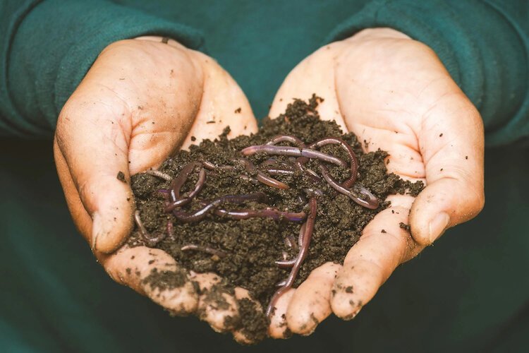 "We are like a goalie before the landfill, trying to capture and divert compostable materials so that instead of becoming waste forever it can become what it wants to be: regenerative compost," says Patrick Gridley of The Compost Fairy.