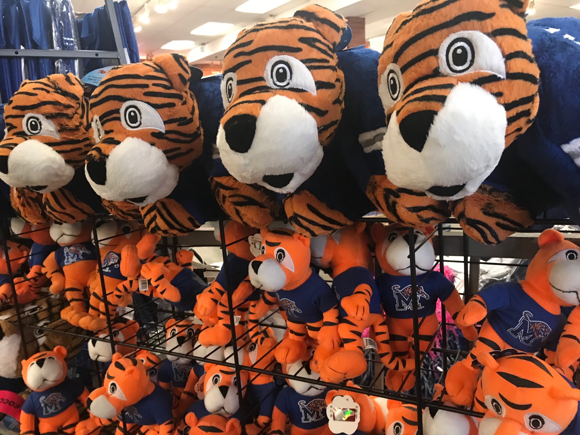 UofM Partners With Memphis Zoo To House New Live Tiger Mascot